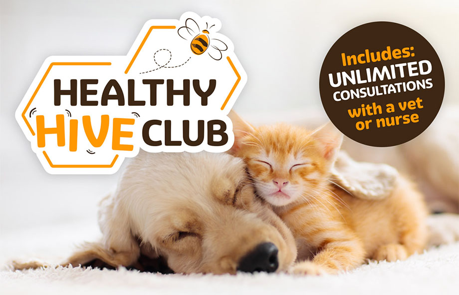 Healthy Hive Club | Beehive Vets | Rothwell