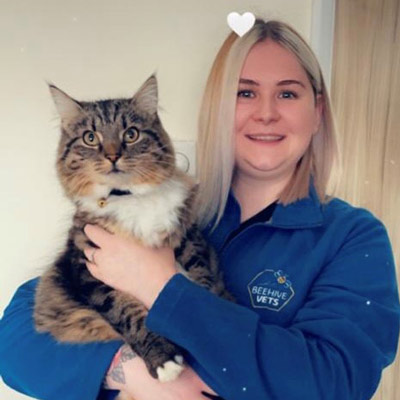 beehive-vets-rothwell-silver-cat-friendly-vet-clinic-isfm-team-emily