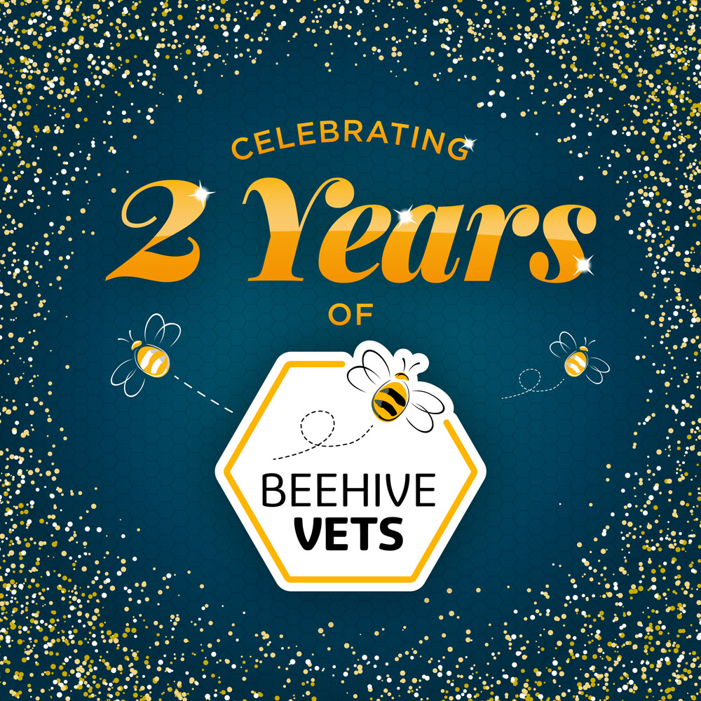 Beehive Vets - 2 Years Old - Feb 14th 2024